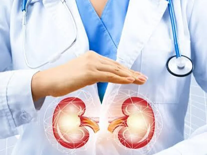 Finding the Right Nephrologist Near You: A Practical Guide