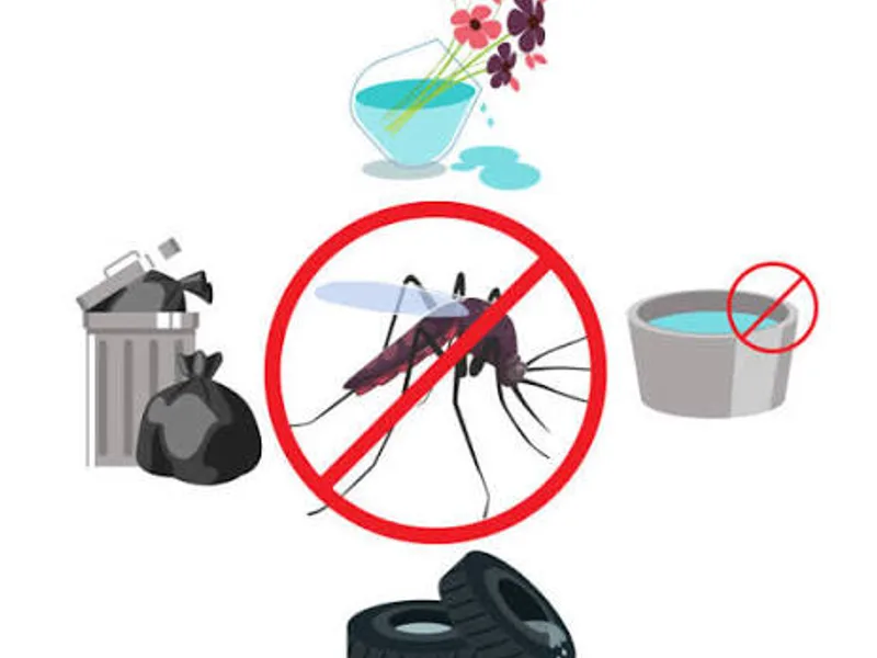 Dengue Chikungunya Prevention in Jharkhand Monsoon