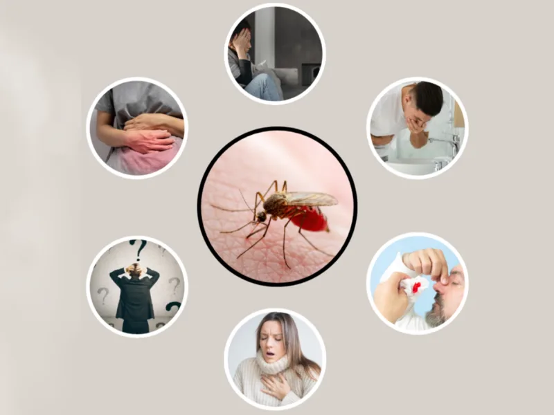 Dengue Symptoms and Treatment in Kolkata