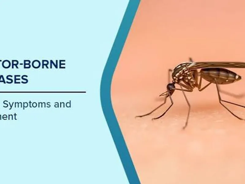 Vector Borne Disease Prevention in Bihar Monsoon