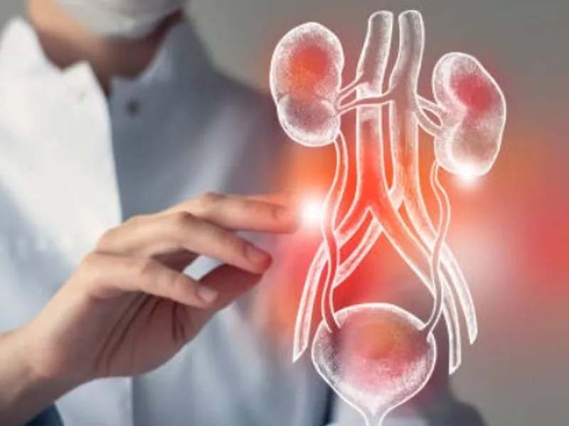Urinary System Specialist in Kolkata