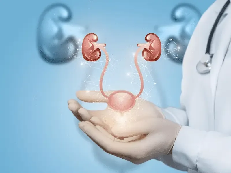 Top Urologist in Kolkata