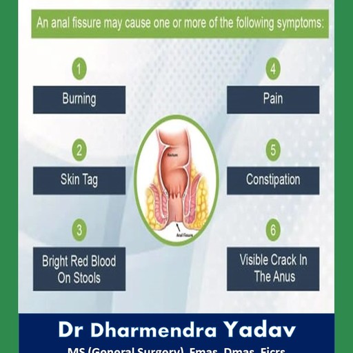 Dr. Dharmendra Yadav