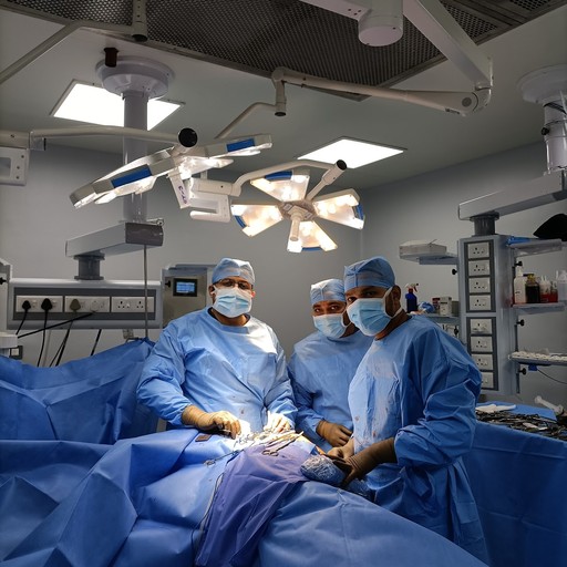 Dr. Karthik Subramanian