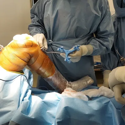 Dr. Sunny Gugale