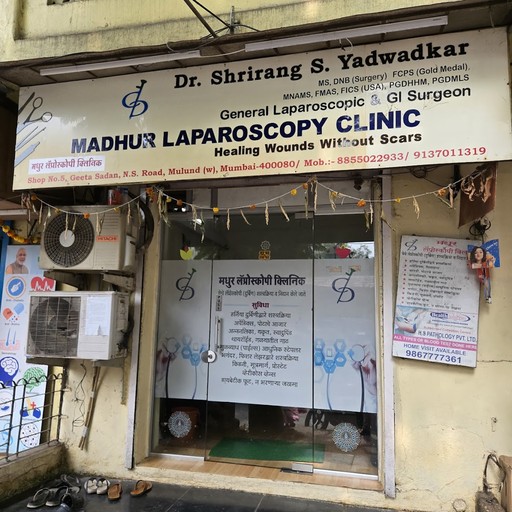 Dr. Shrirang S Yadwadkar