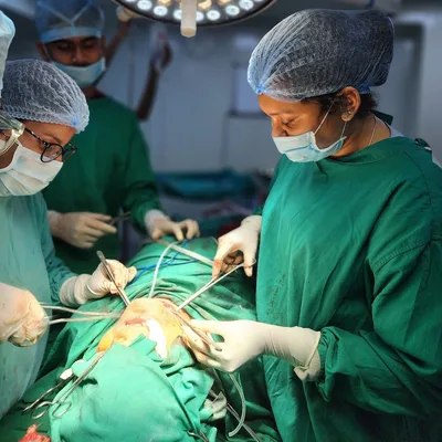 Dr. Oishee Mukherjee
