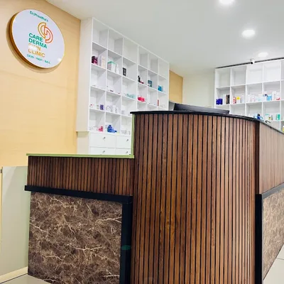 Dr. Preetha K