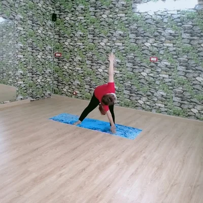 Dr. Keerthana S Physiotherapist