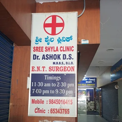 Dr. Sindhu D S