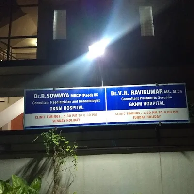 Dr. Nikitha Sowmya