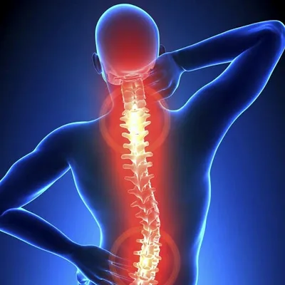 Dr. Smitha Physiotherapist