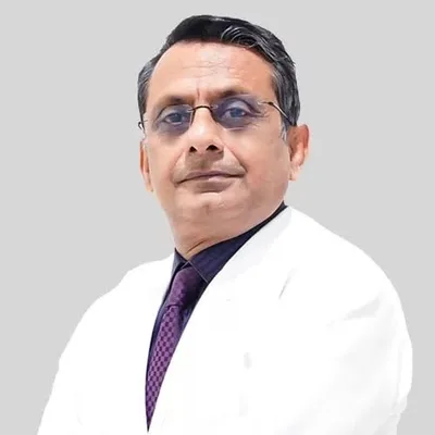 Dr. Partha P Bishnu