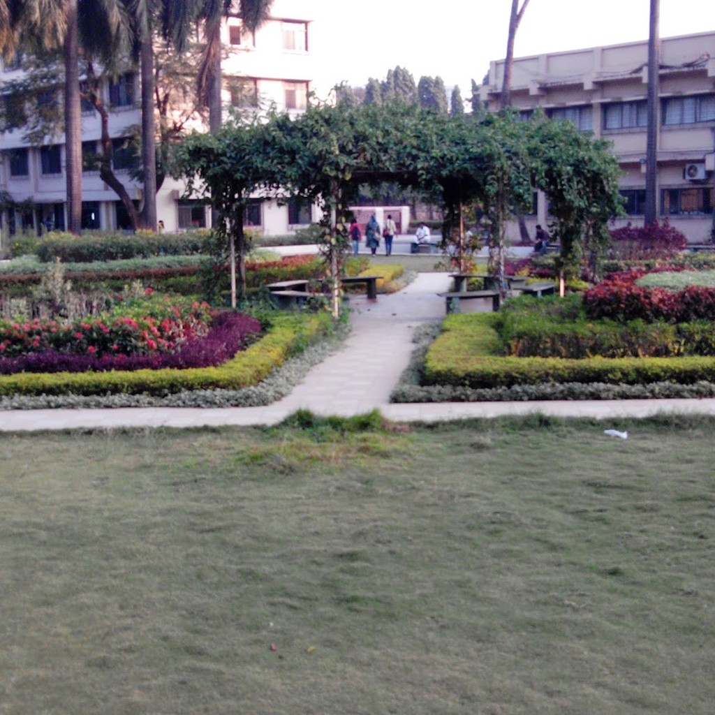 Google photo 6