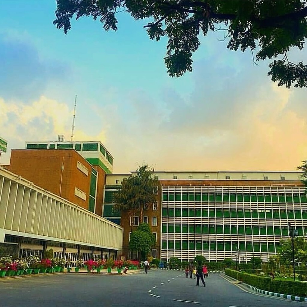 Google photo 5