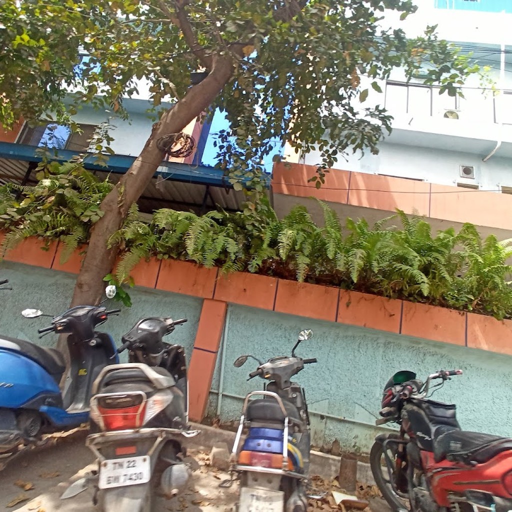 Google photo 4