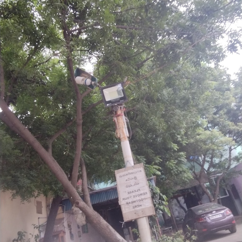 Google photo 8