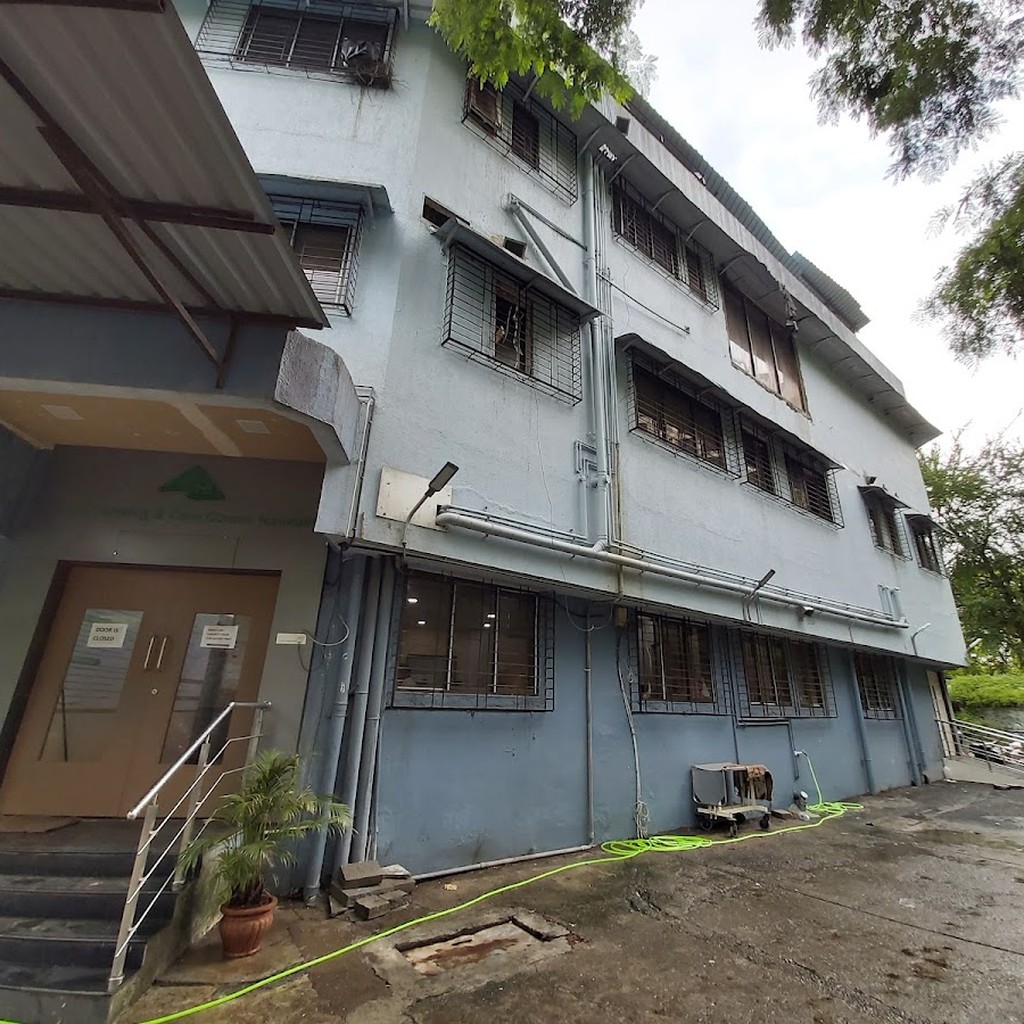 Google photo 3