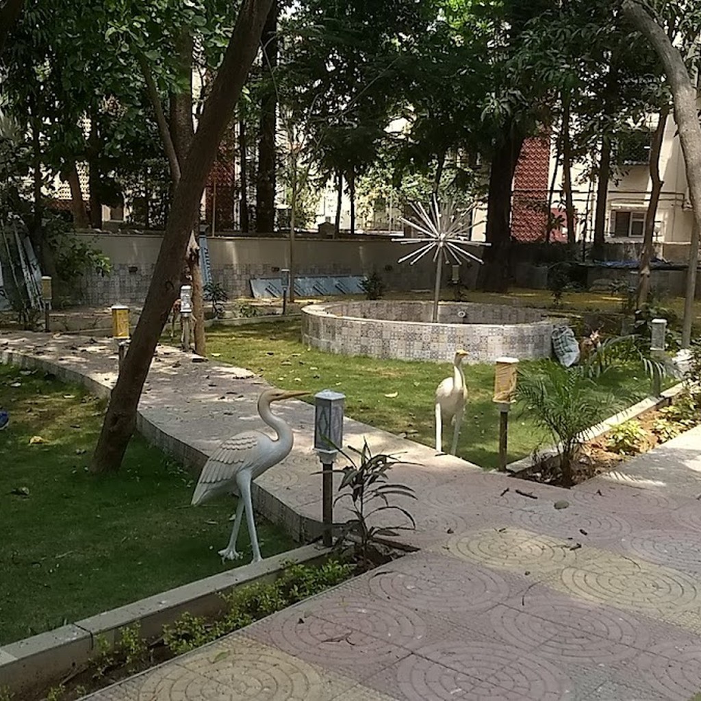Google photo 6