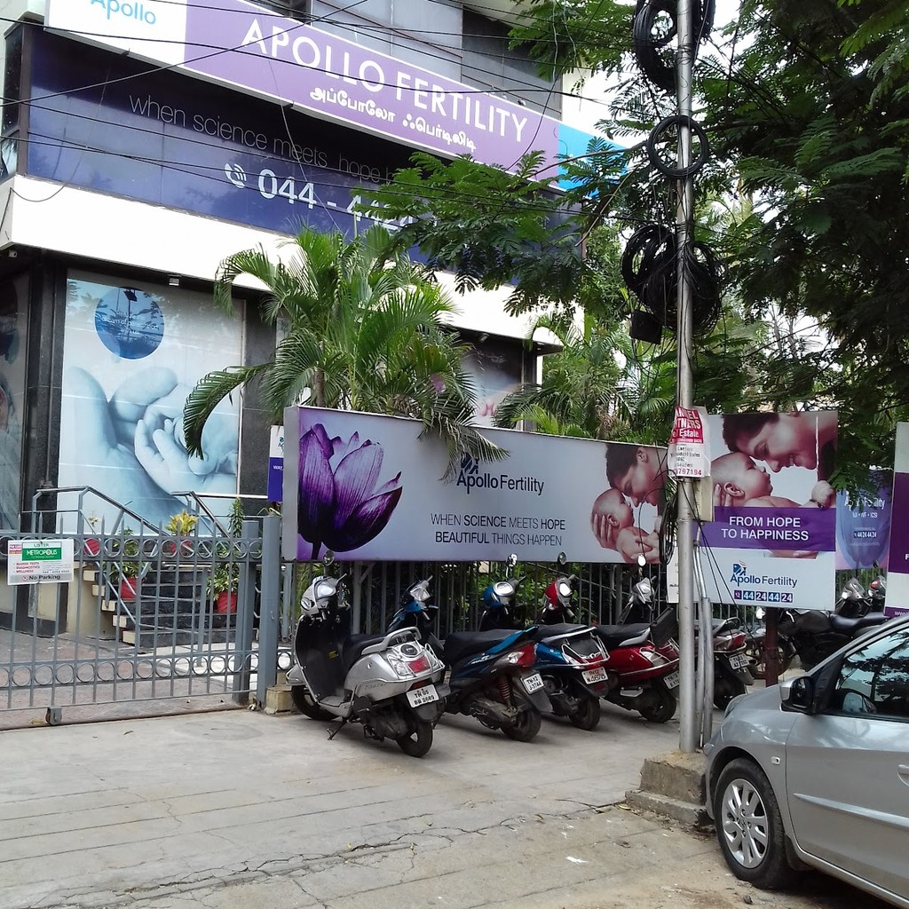 Google photo 2