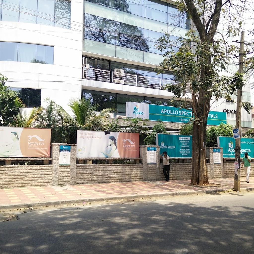 Google photo 2