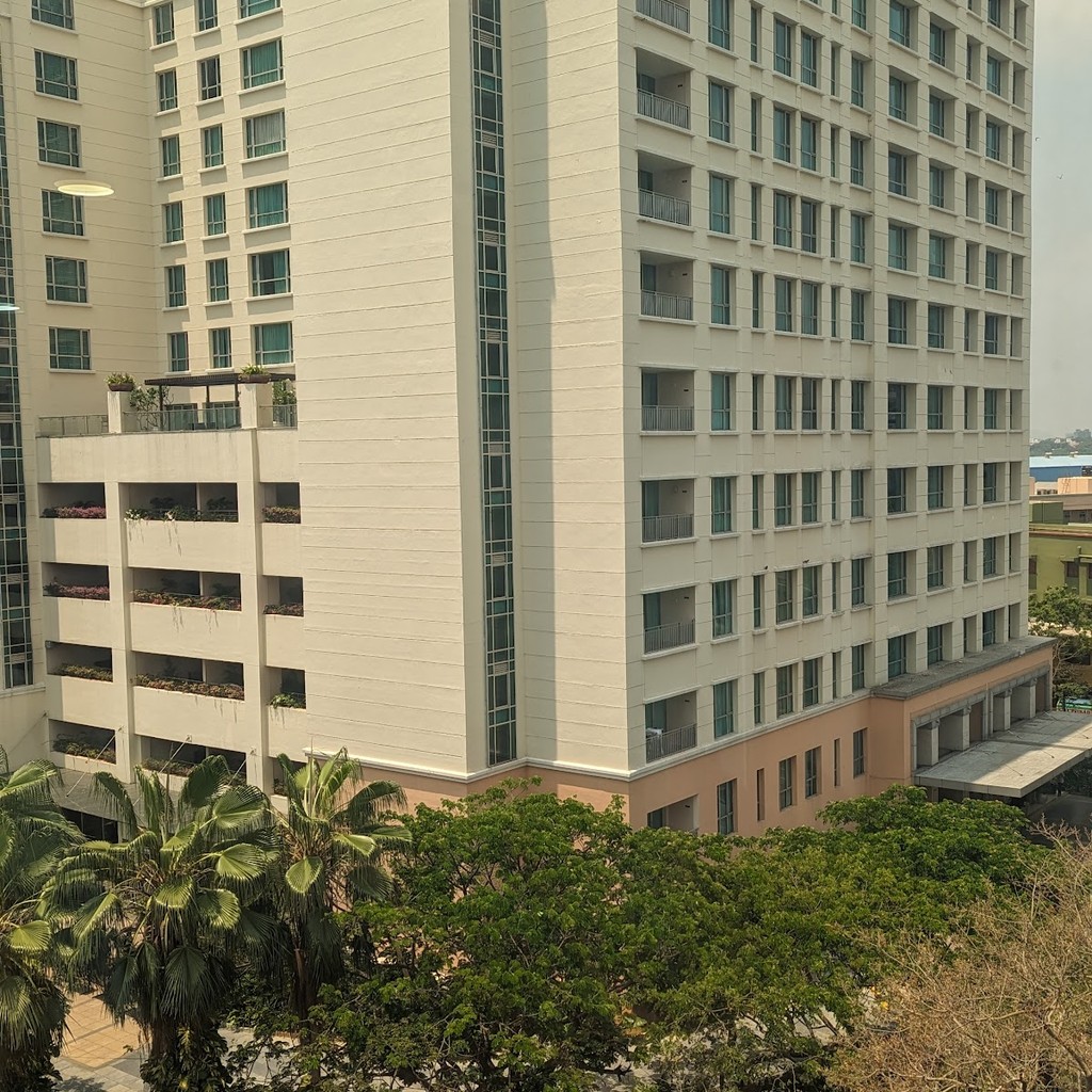 Google photo 4
