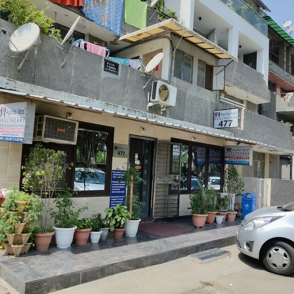 Google photo 6