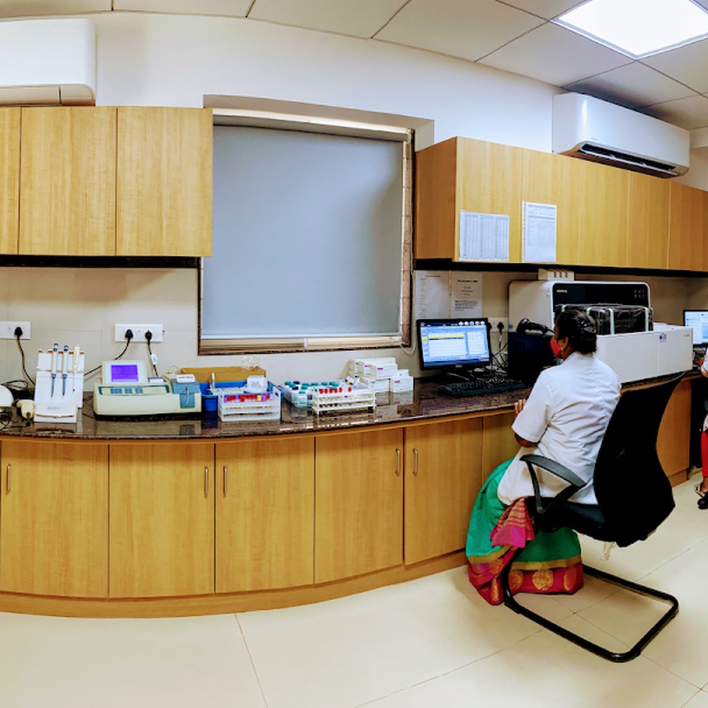 Google photo 5
