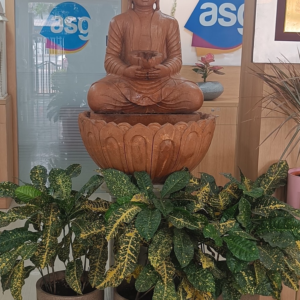 Google photo 7