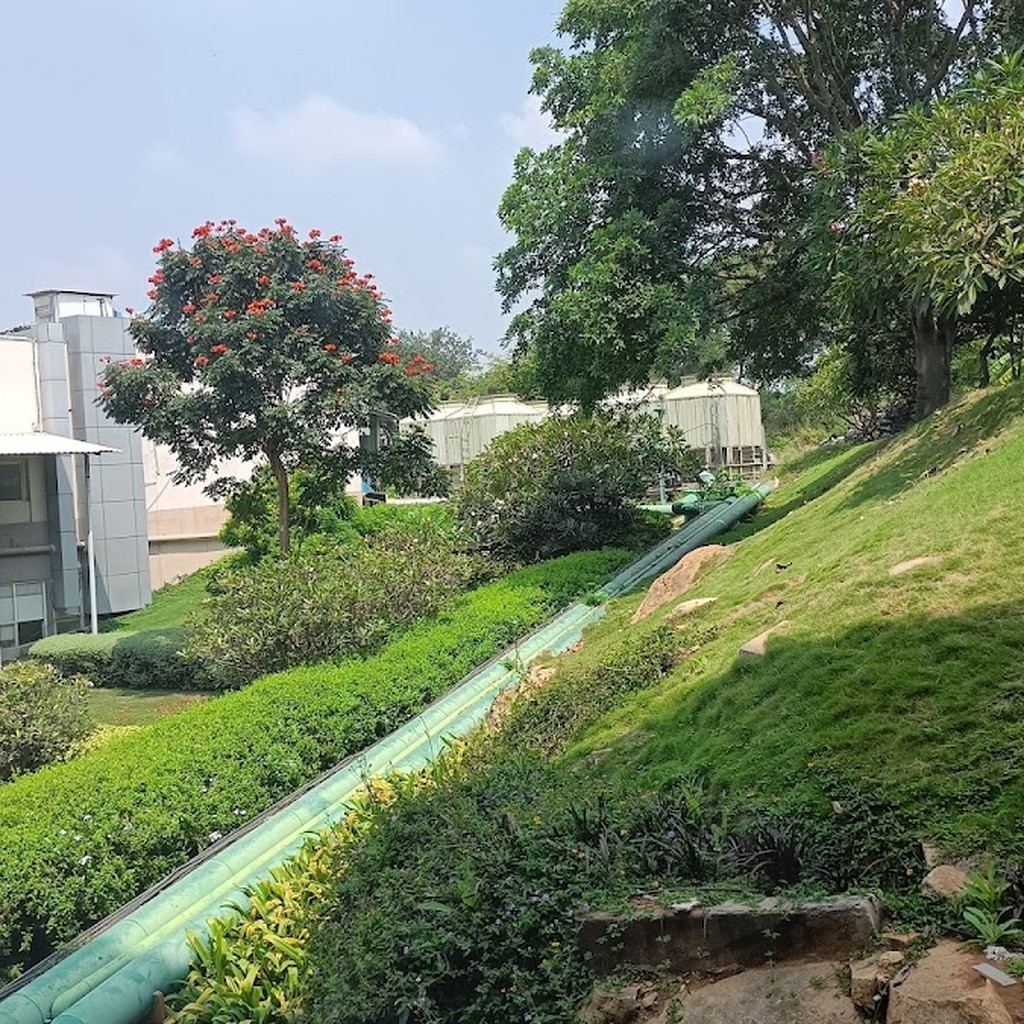 Google photo 2