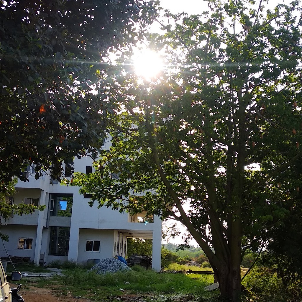 Google photo 5