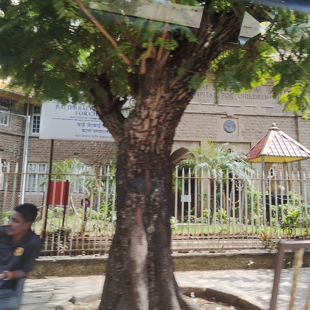 Google photo 6