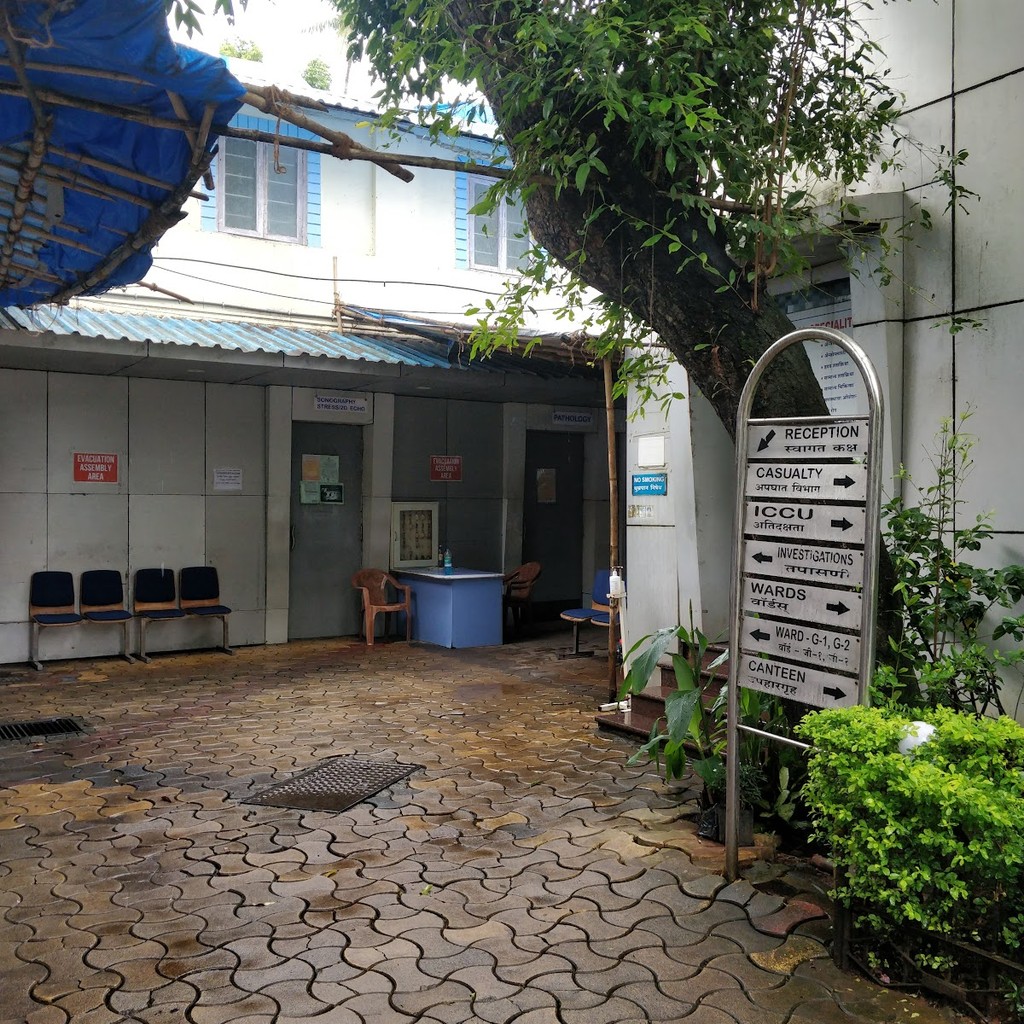 Google photo 6
