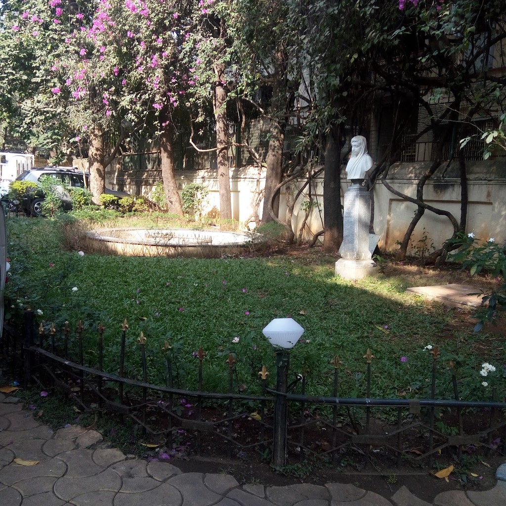 Google photo 8