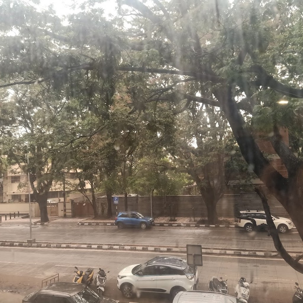 Google photo 6