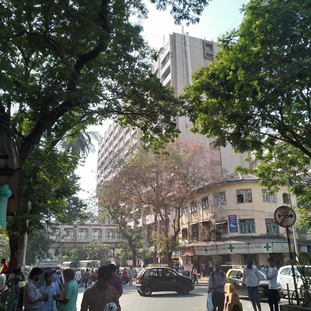 Google photo 4