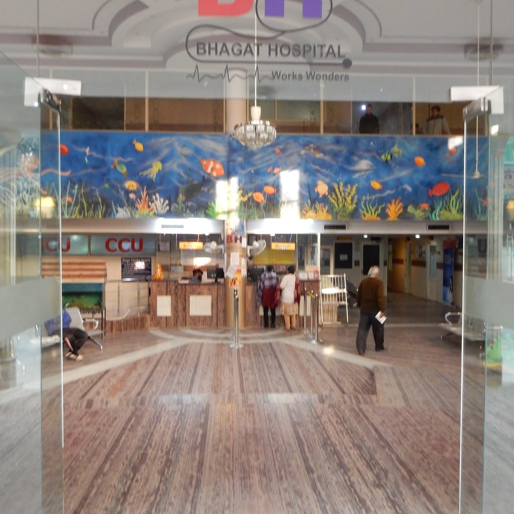 Google photo 6