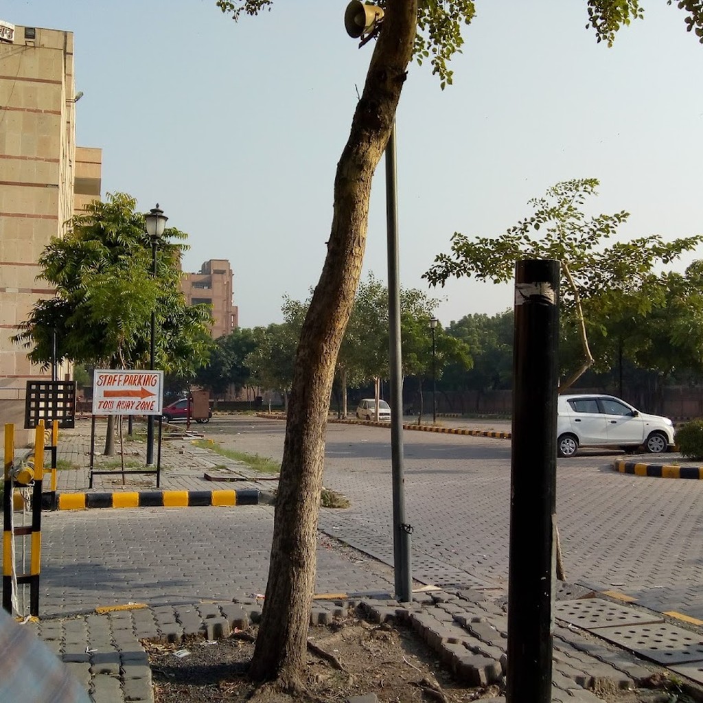 Google photo 3