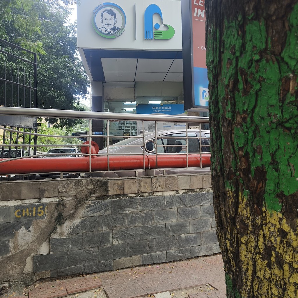 Google photo 7