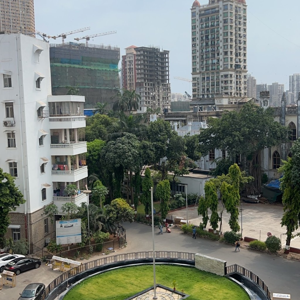 Google photo 6