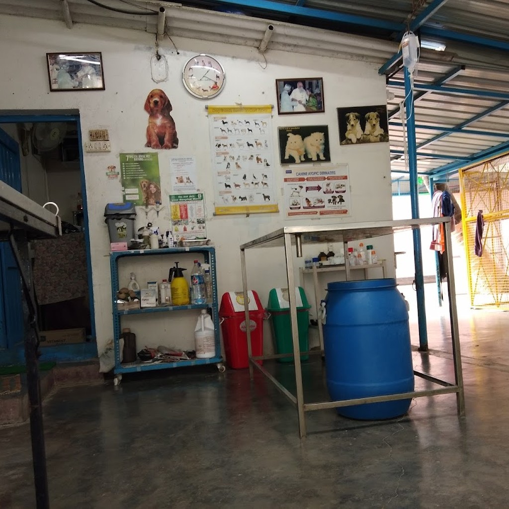 Google photo 3