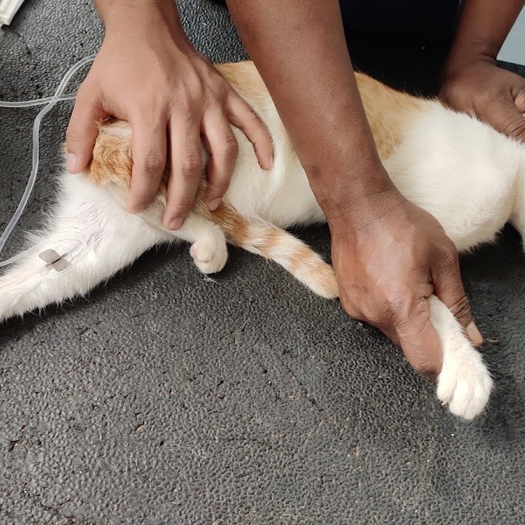 Google photo 5
