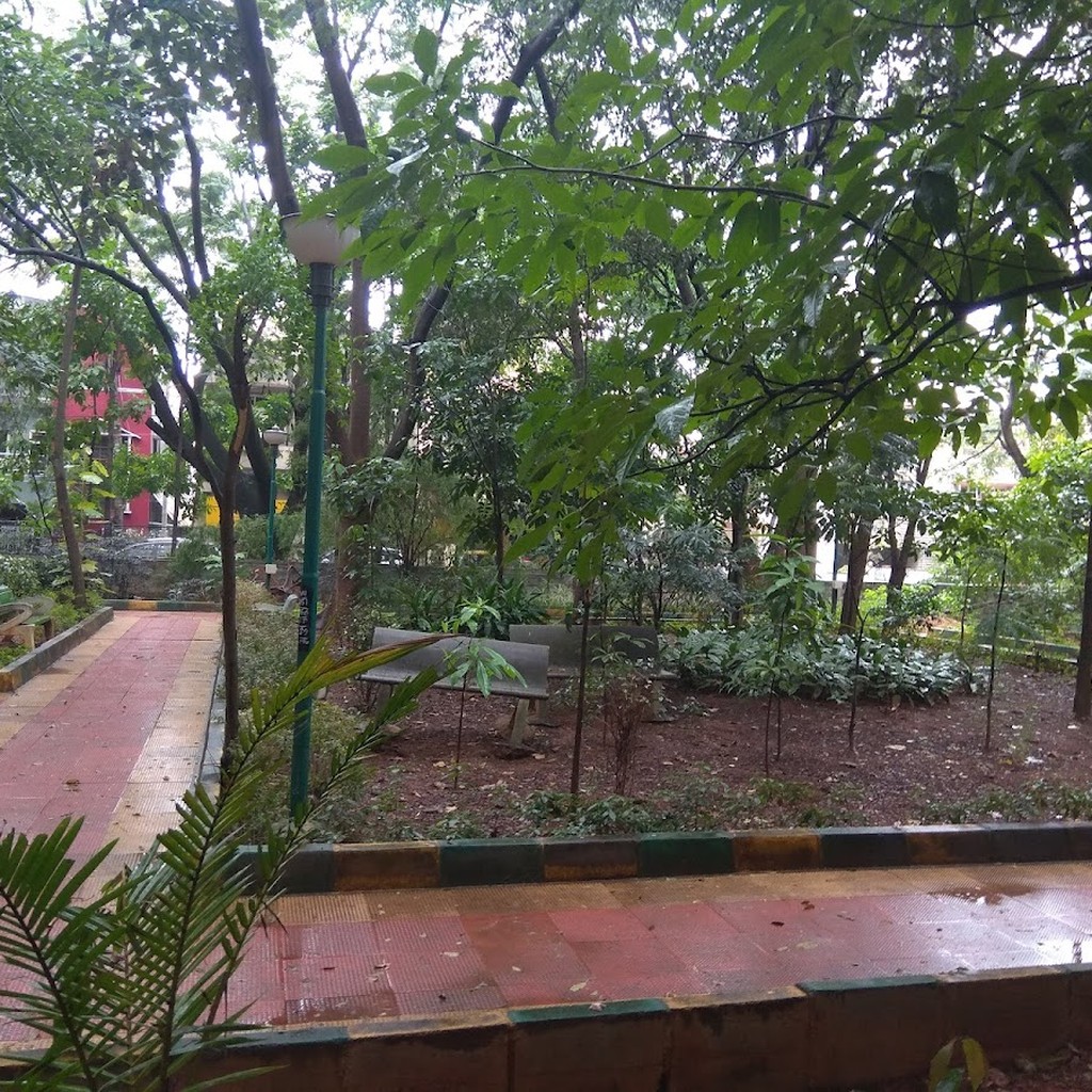 Google photo 6