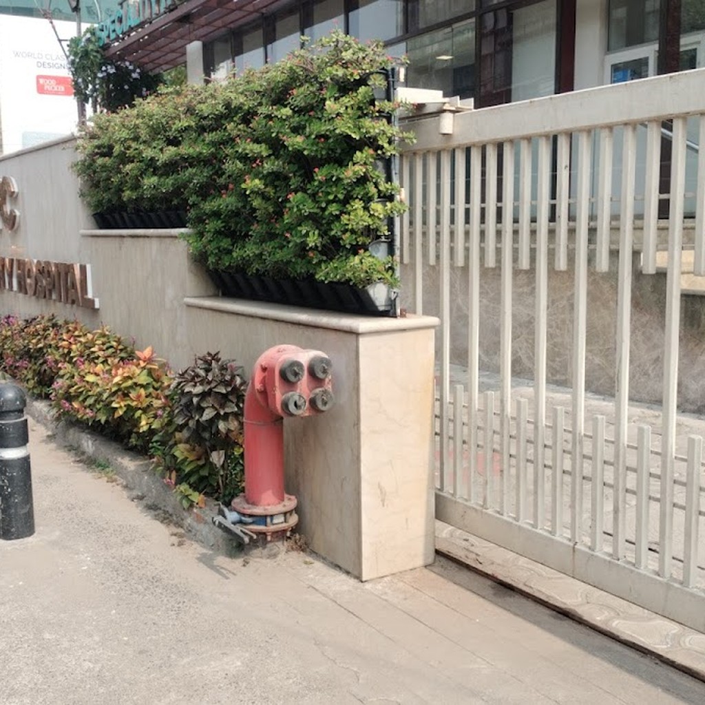 Google photo 2