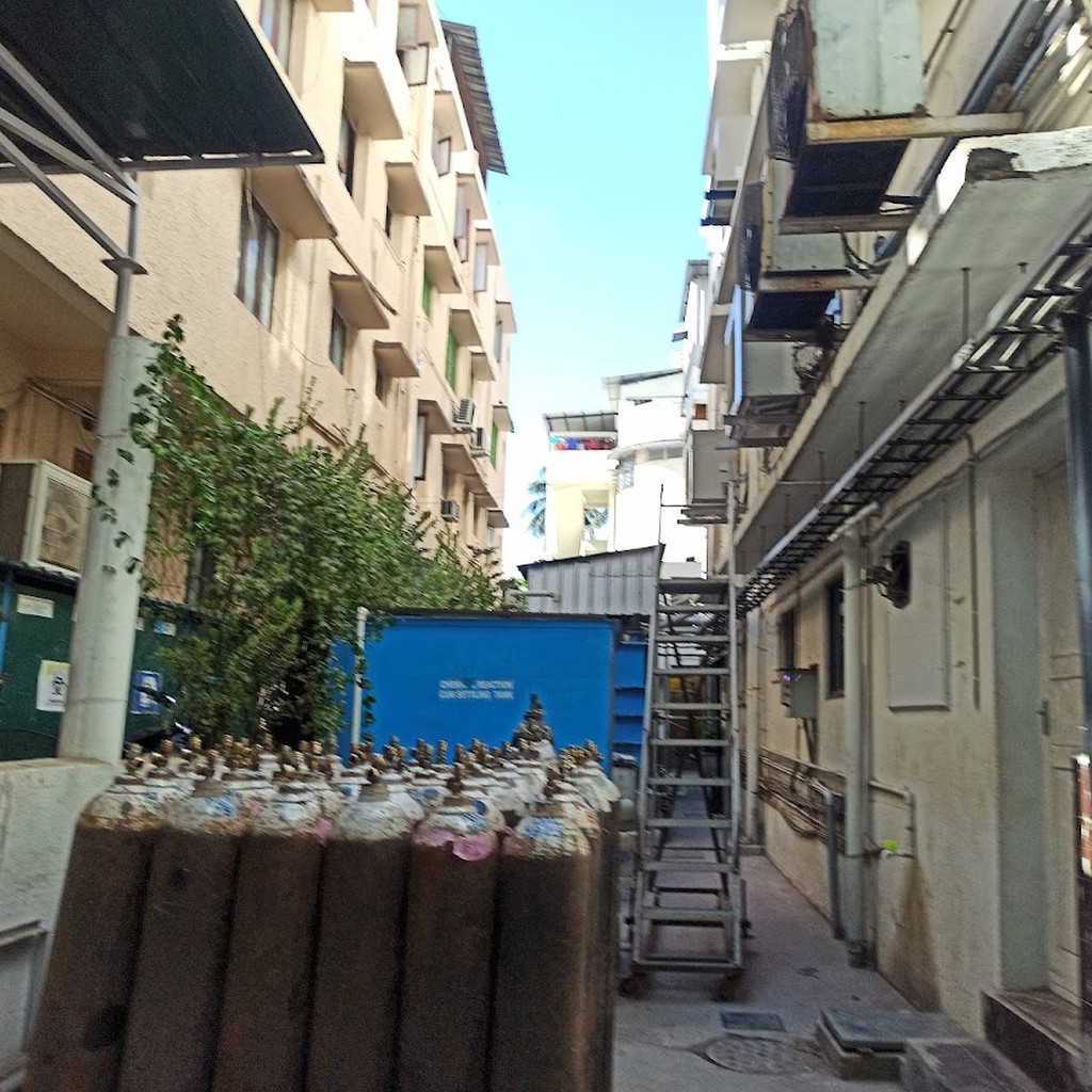 Google photo 2