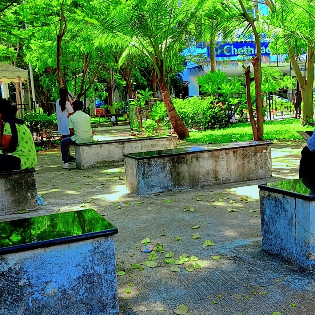 Google photo 6