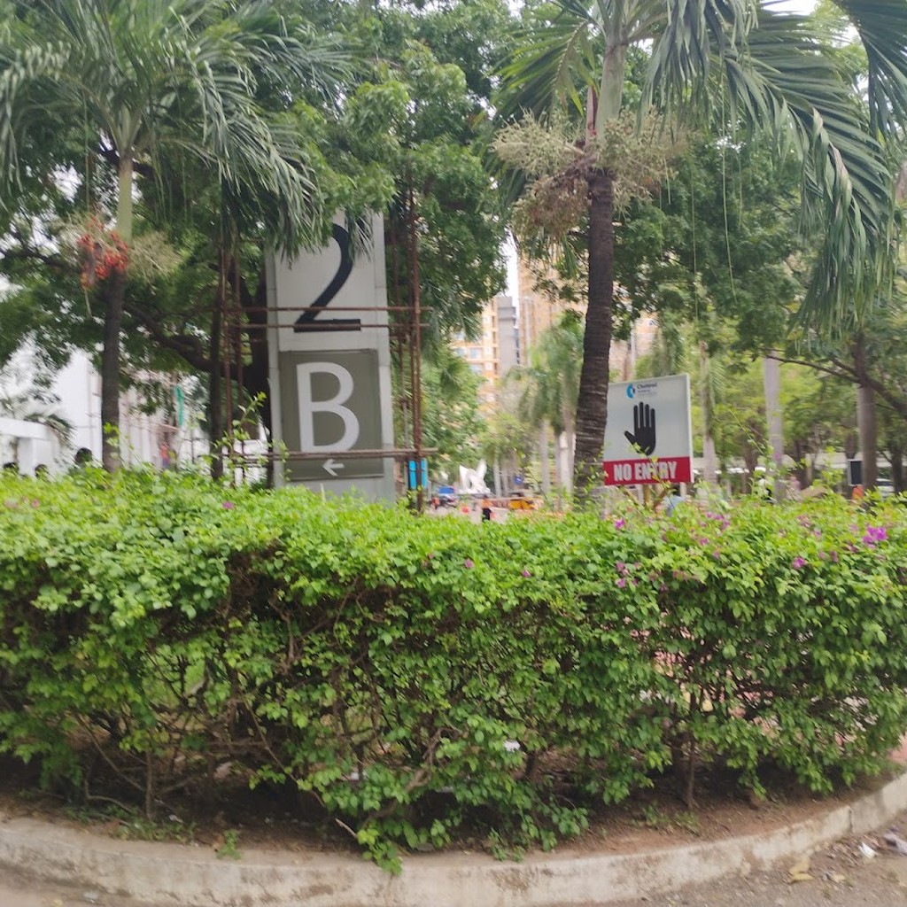 Google photo 4