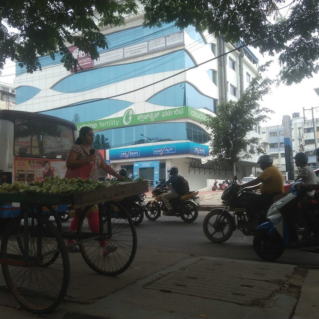 Google photo 3