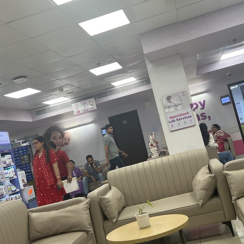 Google photo 3