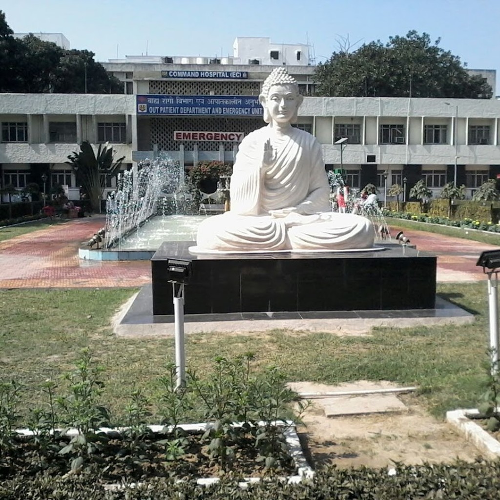 Google photo 3